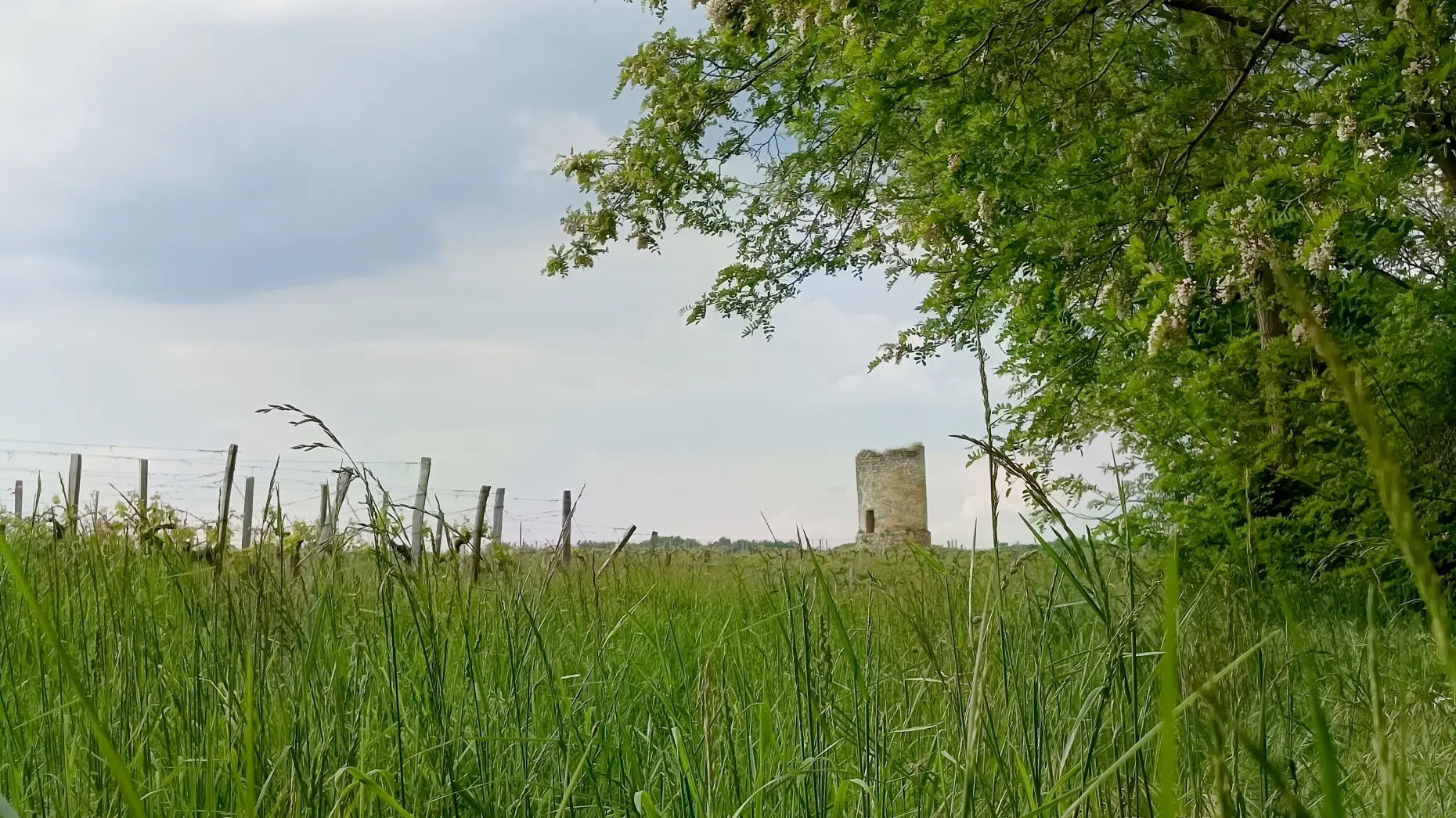 Le moulin de Fonfroide