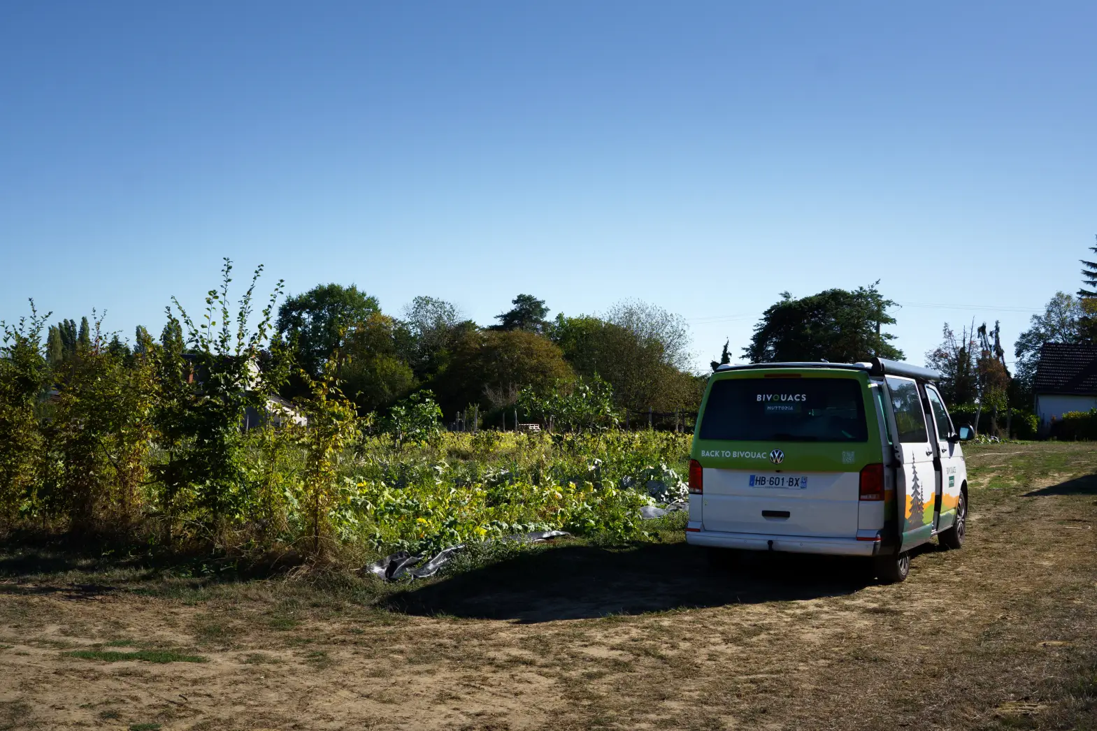 Le Potager de Saint-Martin #7