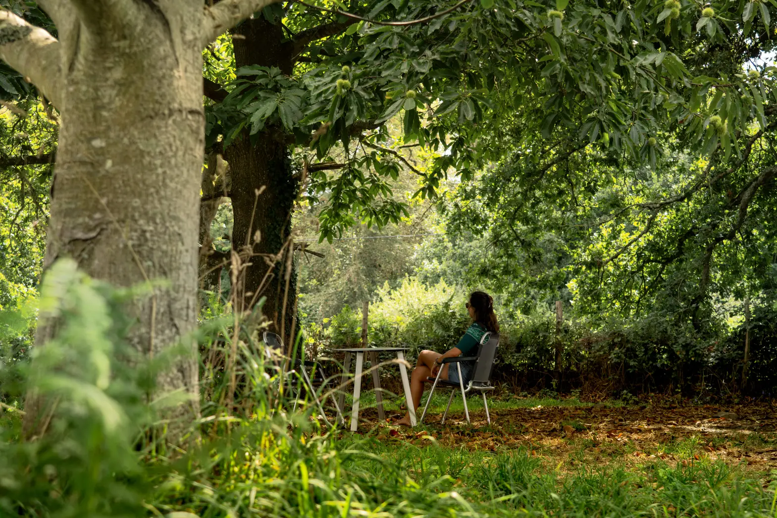 Le champ de Christine