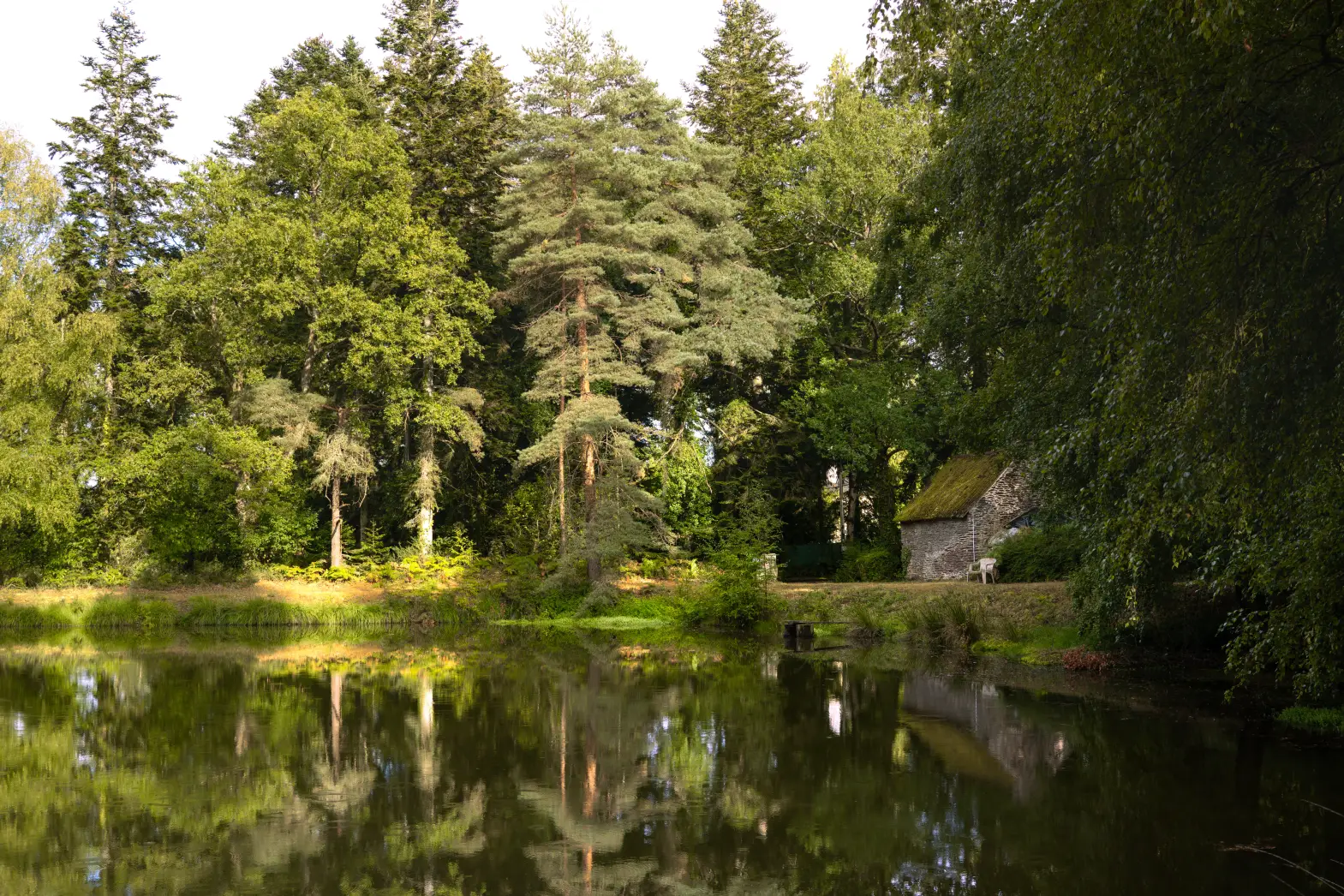 L'étang de Brocéliande