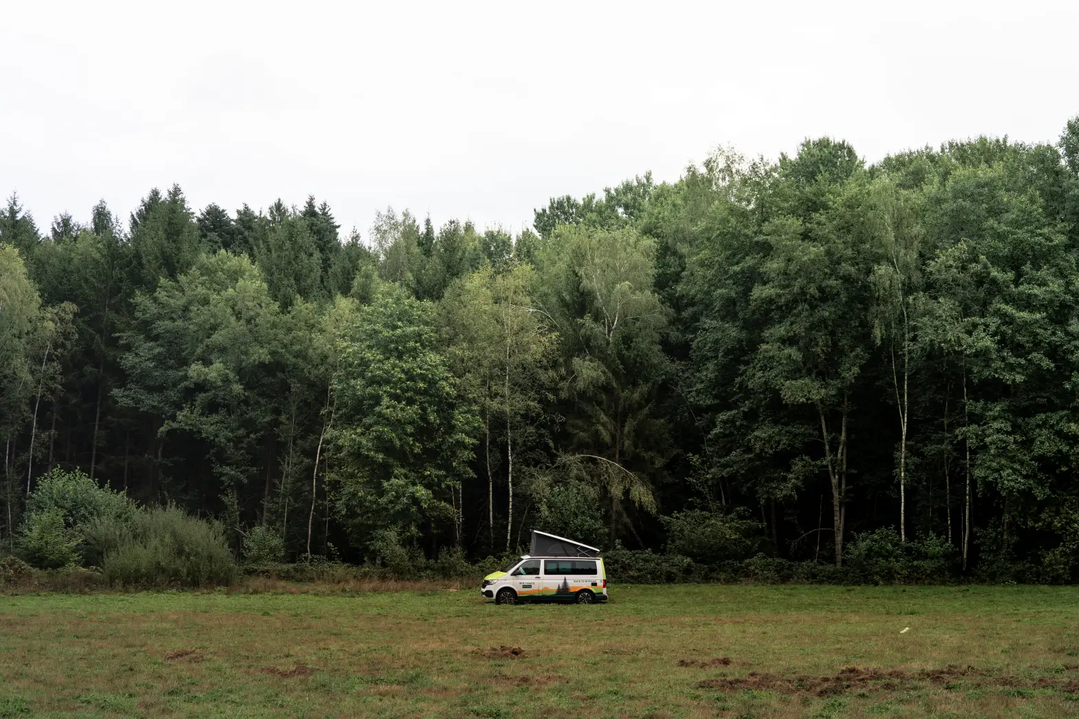 La Clairière de Pierre Percée #4
