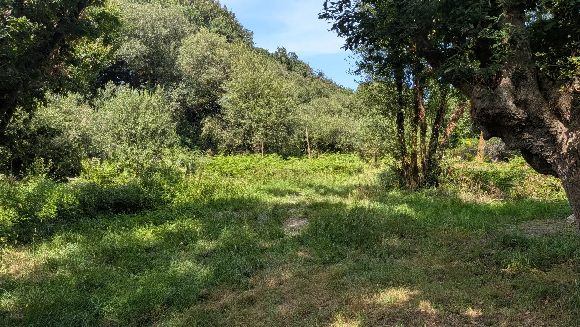 À la lisière
