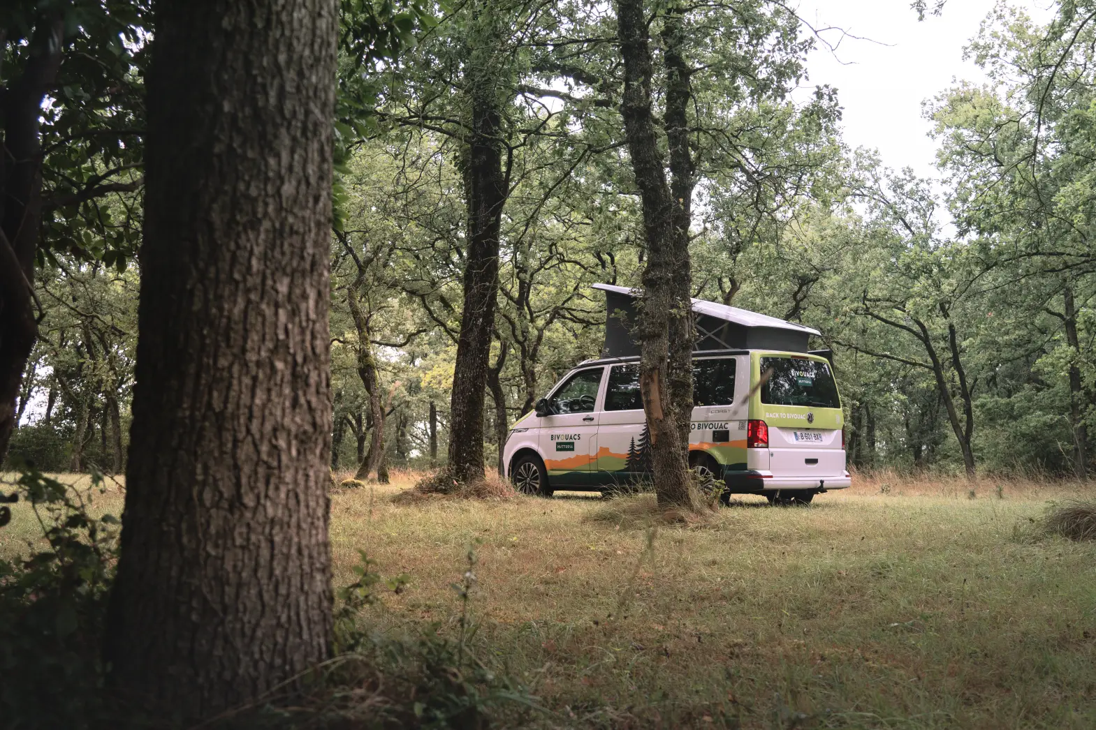 Le Refuge des Bois #5