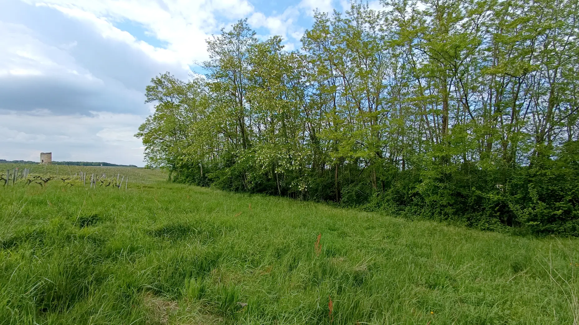 Le moulin de Fonfroide