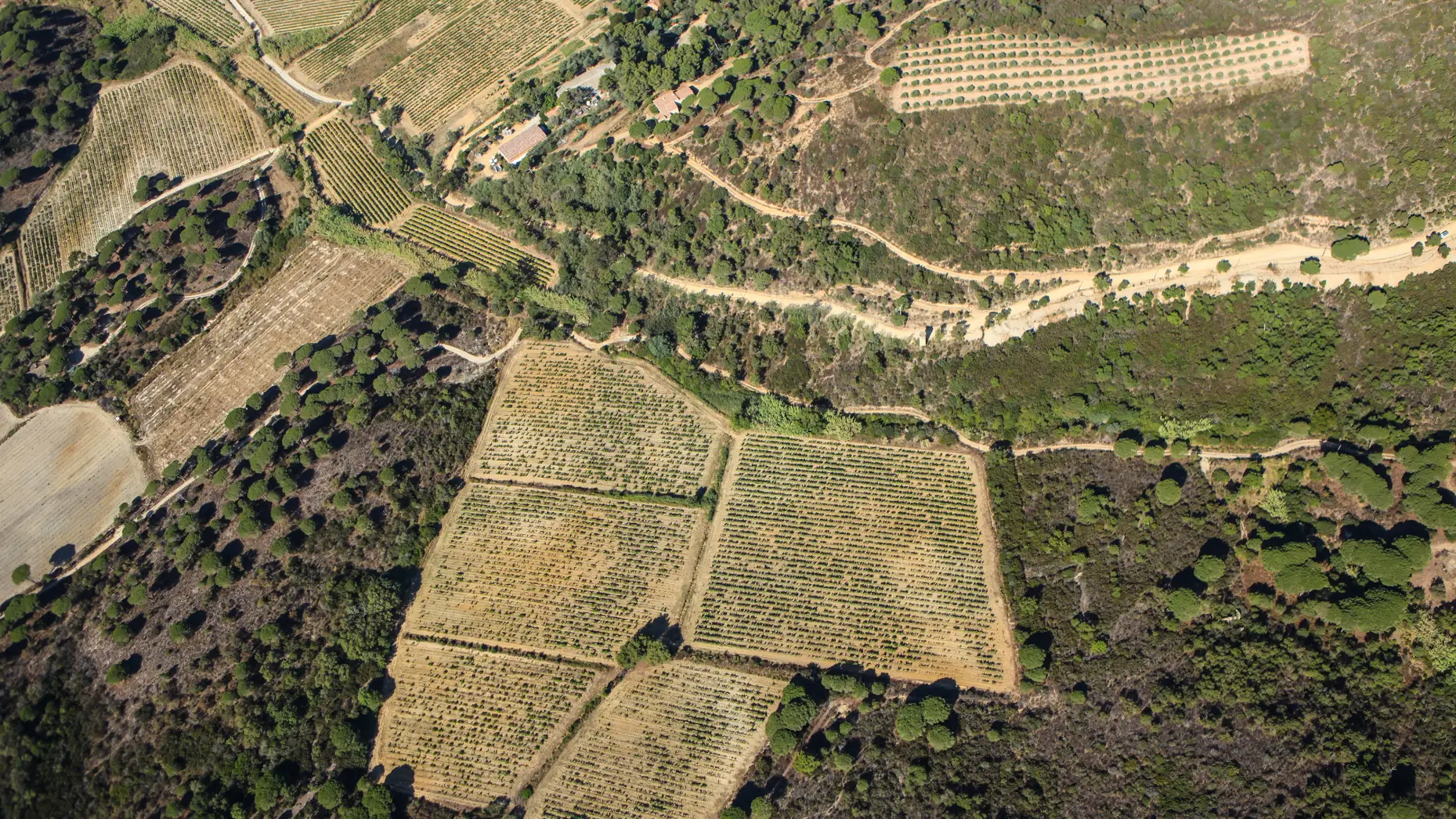 Domaine de la Tourraque #5