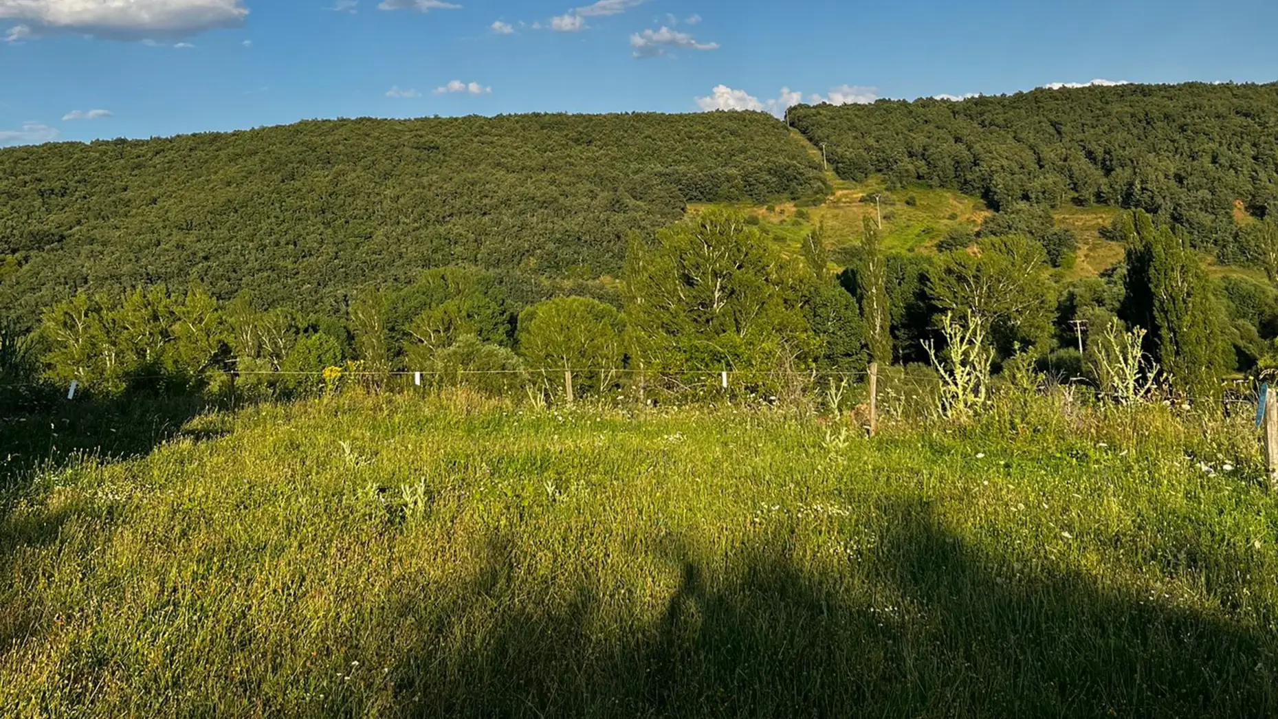 Campo Santo