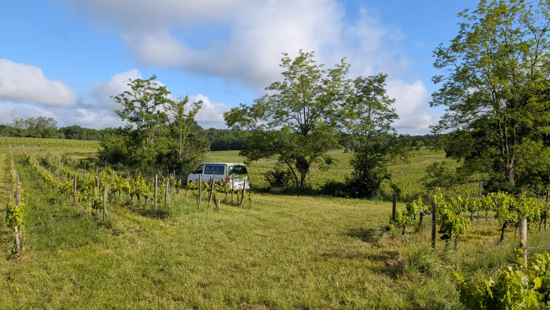 L'Escale vigneronne #6